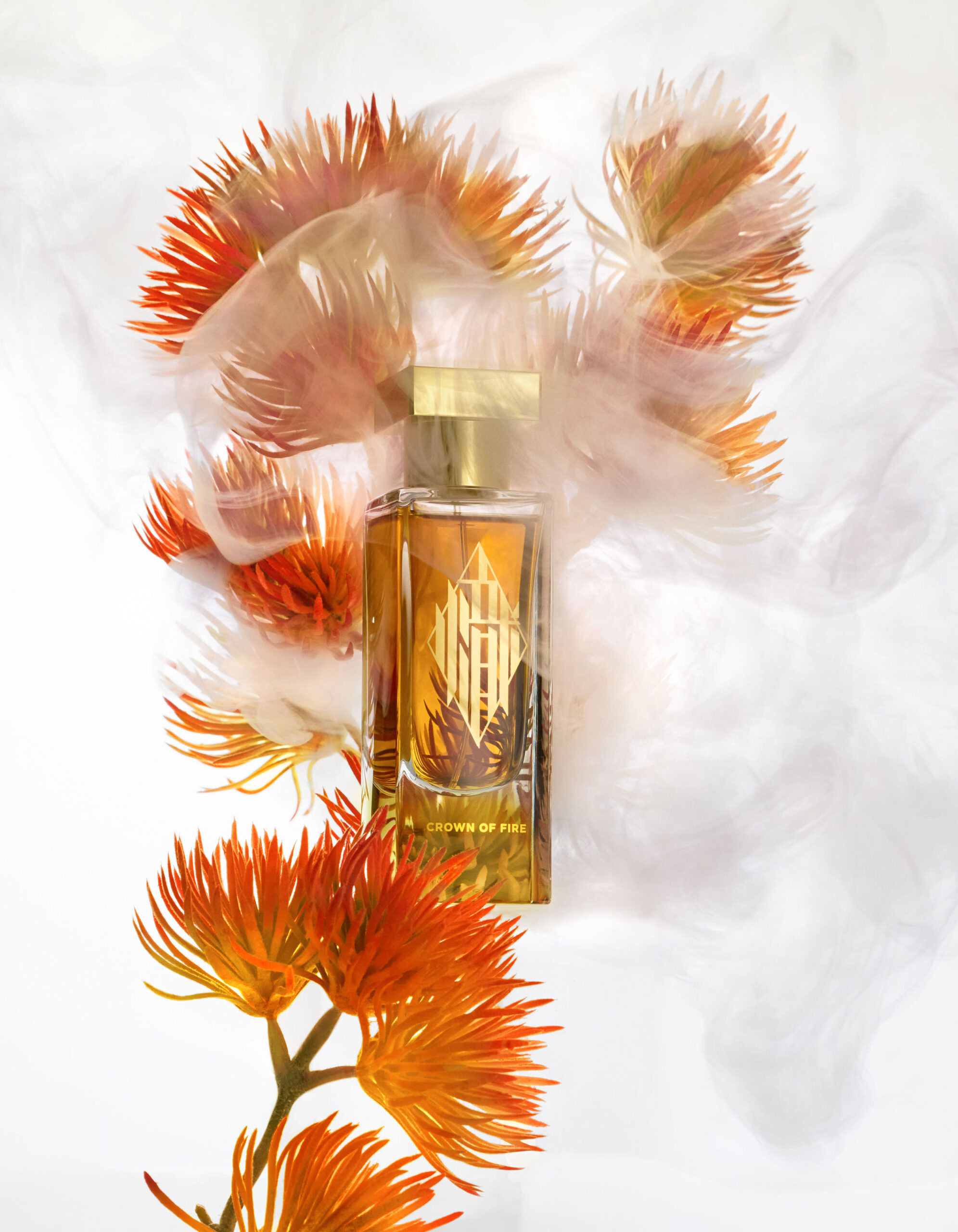 CROWN OF FIRE - immagine 4